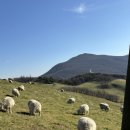 이레목장 1 | 친구랑 평창 크리스마스 여행 호텔, 맛집 후기(진태원, 인터컨티넨탈 알펜시아 호텔 후기, 도암식당 등)