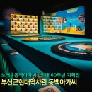 11월 12월 부산 실내 전시 부산근현대역사관 동백아가씨 꼭 보러가보세요!
