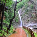 도청대로(풍천면) 이미지