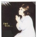 비엔나안경원 이미지