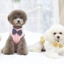 몽스토리 이미지