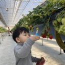 하준농장 이미지