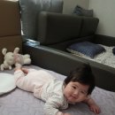 내포연합의원 이미지