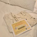 뷰텍 | 도쿄에서 찾은 가성비 숙소,호텔 몬토레긴자 후기