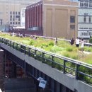 라인25(LINE25) 이미지