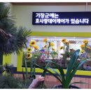 기장효사랑 이미지