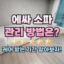에싸 패브릭 소파 이번주 후기 총정리! 와인 제거 세탁 기간은?