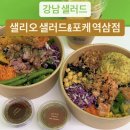 샐리오