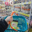 남양사료 | 구리애견용품 씨유펫 수택점 구리 수택동 무인애견용품점 구매후기