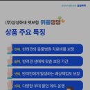 위풍댕댕 이미지