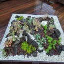 반디유치원 이미지