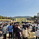 다독다독 이미지