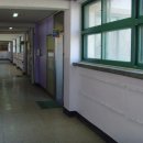 관악초등학교 이미지