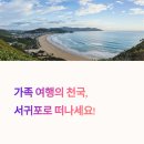제이앤비 가족호텔 | 서귀포 오션뷰 숙소 추천, 켄싱턴리조트 가족 여행지로 딱