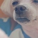 명품주방용품