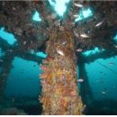 연안목장 이미지