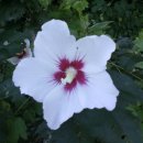 홍익농장 이미지