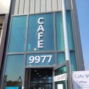 카페9977 이미지