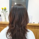 윤지영미용실 이미지