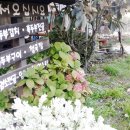 송악면 송악로 이미지