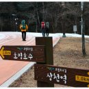 큰골사슴목장 이미지