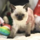 집사의 하루 대구점 이미지