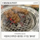신나는 과학교실 | [부산 나들이 추천] 국립부산과학관 후기 + 용호동 놀이방 있는 맛집 &#39;올바른&#39; 방문