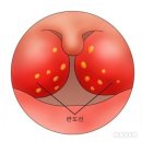 J0390 이미지
