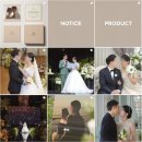 W2. 대전 웨딩 본식영상 DVD 포레스트 필름 계약후기- 짝꿍 할인 (완료)