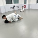 아트 주짓수 레슬링 이미지