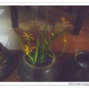 예다원찻집 이미지