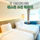 동백로 67 | 부산 웨스틴조선 호텔 해운대 숙소 및 수영장 추천
