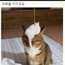 공감 이미지