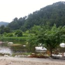 장천마을캠핑장 이미지