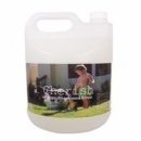 향기펫샵 이미지