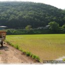 유기농업의 필수는 사람!!!..동력중경제초기작업동영상... 친구네농장 영농일기 2010 이미지