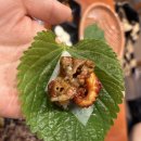 신복관 아산점 이미지