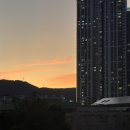 용우스포츠 | 파아란 팔월