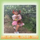 그린향 | 제주 9월 귤체험, 서귀포 금동이네 그린향 하우스귤 후기
