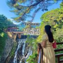 [제천] 가볼만한곳 &#39;의림지&#39; 용추폭포 유리전망대 누워라정원 오리배 보트이용 등