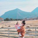 건봉목장 이미지