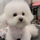 그루밍140 이미지