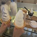 옥동목장 | 울산 당일치기 여행 코스 추천, 부모님과 함께 다녀온 울산 가볼만한곳 후기