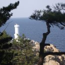 조*대 이미지