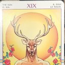 타로 실전리딩반 이미지