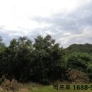 완산-90 이미지