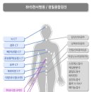 BHS한서병원 이미지
