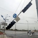 일과1교차로 1 이미지