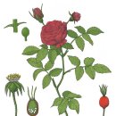 원종화장품 이미지