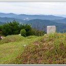 영광잔디 이미지